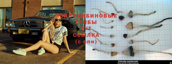 ECSTASY Армянск